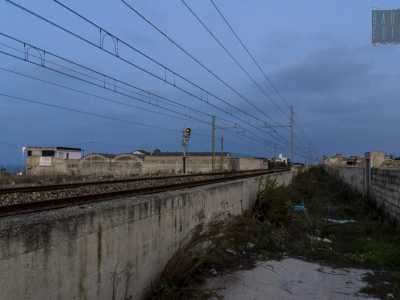 La strada si interrompe e cede il passo alla vegetazione